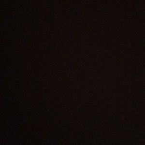 Meet your Posher, Bella